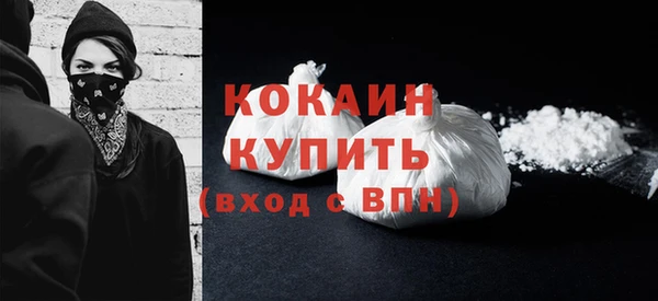 ПСИЛОЦИБИНОВЫЕ ГРИБЫ Горняк