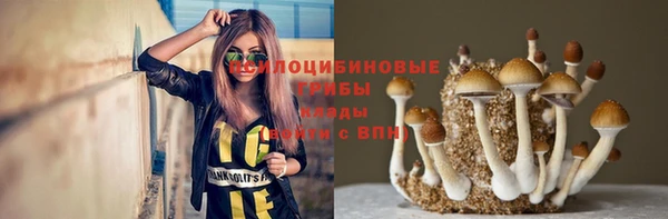 эйфоретик Гусиноозёрск