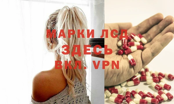 ПСИЛОЦИБИНОВЫЕ ГРИБЫ Горняк