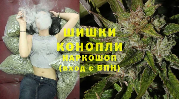 бутират Гусь-Хрустальный