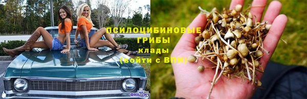 эйфоретик Гусиноозёрск
