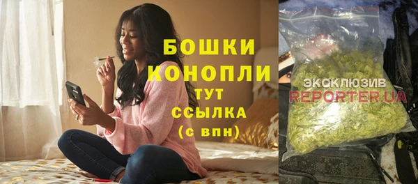 ПСИЛОЦИБИНОВЫЕ ГРИБЫ Горняк