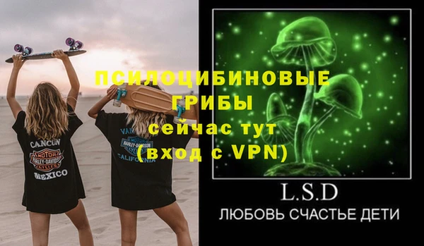 бутират Гусь-Хрустальный