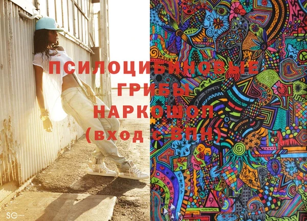 бутират Гусь-Хрустальный