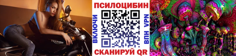 Псилоцибиновые грибы Cubensis  Малоярославец 