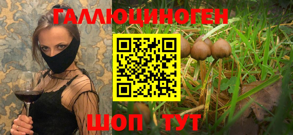 Галлюциногенные грибы мухоморы Малоярославец