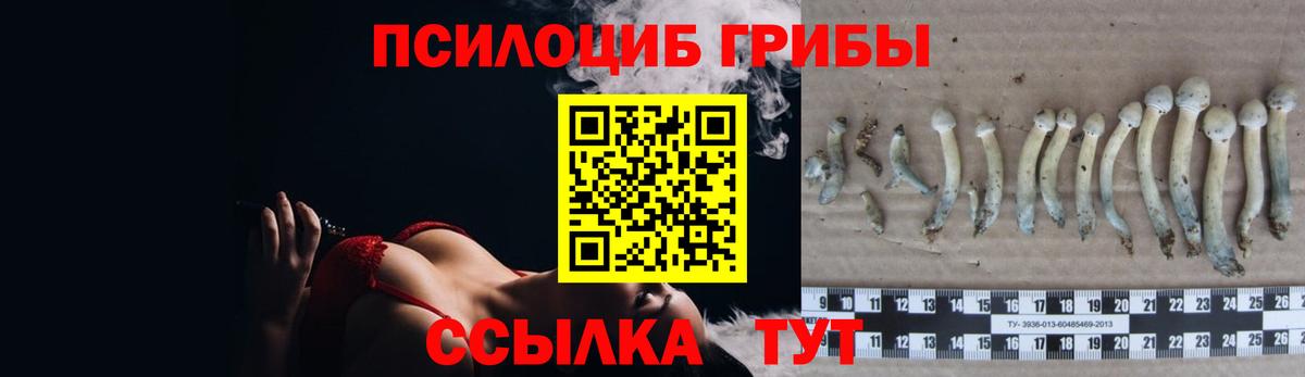 Псилоцибиновые грибы GOLDEN TEACHER  Малоярославец 